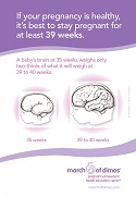 Late Preterm Brain Development Card